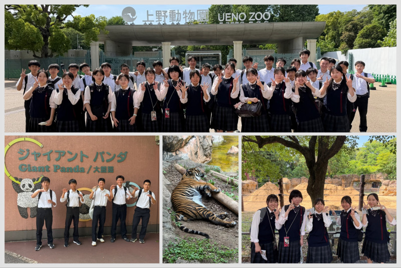 294D2271-06F1-4AA4-9F8A-54A848F0AFD3