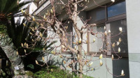 IMG_3417②