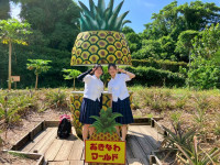 60B78215-2FA0-4D1A-8A41-7E12D03935B2