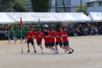 7　タイフーン