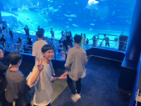 沖縄２日目水族館５